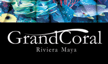 Grand Coral Riviera Maya - Invitaciones OpenHouse, CD con video, Impresion de CD